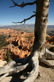 Bryce Canyon, US