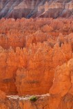 Bryce Canyon, US