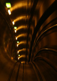 Down the tube