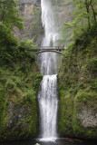 Multmomah Falls