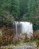 IMG_4909w.jpg
