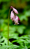 CRW_9028w.jpg