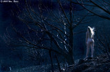Devastation Wanda 08_10_07