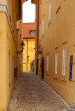 DSC_8111.jpg