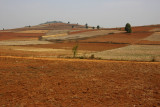 Fields near Pindaya