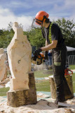 Carve Carrbridge 2007