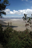 Ngorongoro