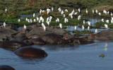 Ngorongoro