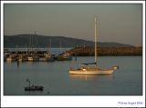 06-10-11 Last light on Apollo Bay harbour 4377 _s.jpg
