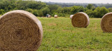 Bales