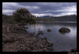 Mt Olympus from Cynthia Bay