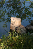 Sunlit Rock