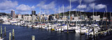 Wellington city from Chaffers Marina, New Zealand