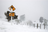 Snowstorm, Banks Peninsular, Canterbury, New Zealand