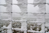 Hoarfrost on deer fence , Central Otago, New Zealand