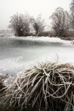  Hoarfrost at Lake Ruataniwha, Canterbury, New Zealand