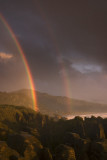 Rainbow at the Pancake Rocks, Punakaiki, Westland, New Zealand