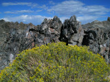 Panum Crater-Minarets Rocks