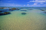 Piscinas naturais na praia das fleixeiras, Trairi, CE