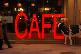 Plaza Caf - Vitoria/Gasteiz