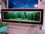 AquaFisch 2007