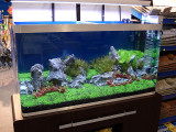 AquaFisch 2007
