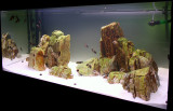 360 Liter - Tanganjika-Lake -