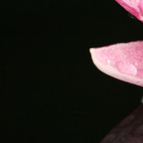 09.jpg
