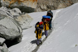caab_0768.jpg cho la.jpg