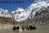 eahaImg_0352.jpg gorak yaks.jpg tekst.jpg