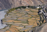 gqa_MG_4166mukti crop.jpg