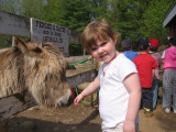 ellie_farm_fieldtrip.jpg