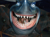 sharktale.jpg