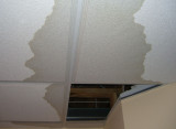 ceiling_water2.jpg