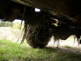 53 Grsodling under bilen.jpg