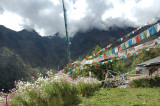 DSC_9837.jpg