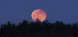 moon 030307_MG_0396