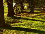 Luminous ground of Queen Elizabeth Hospital, Kings Lynn