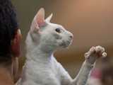 Dont get closer! PhotographyVoice