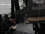 sidewalk bed