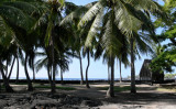 Pouhonua o Honaunau National Park 2.jpg