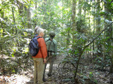 Birding Trail 6 in Khao Yai National Park