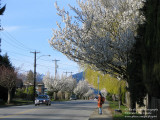 Waiting for a bus on Sperling Avenue, Lochdale