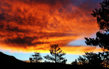 Early morning in Rocky Mountains NP