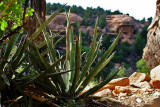 Mesa Verde National Park