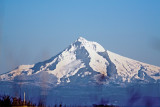 Jan 12 07 Mt. Hood from Col River 1.jpg