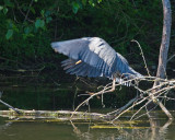 May 28 07 Critter Lake -408.jpg