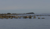 olandDSC1043.jpg