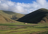 Lone house