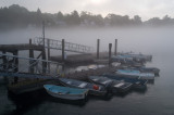 Morning at dock #1